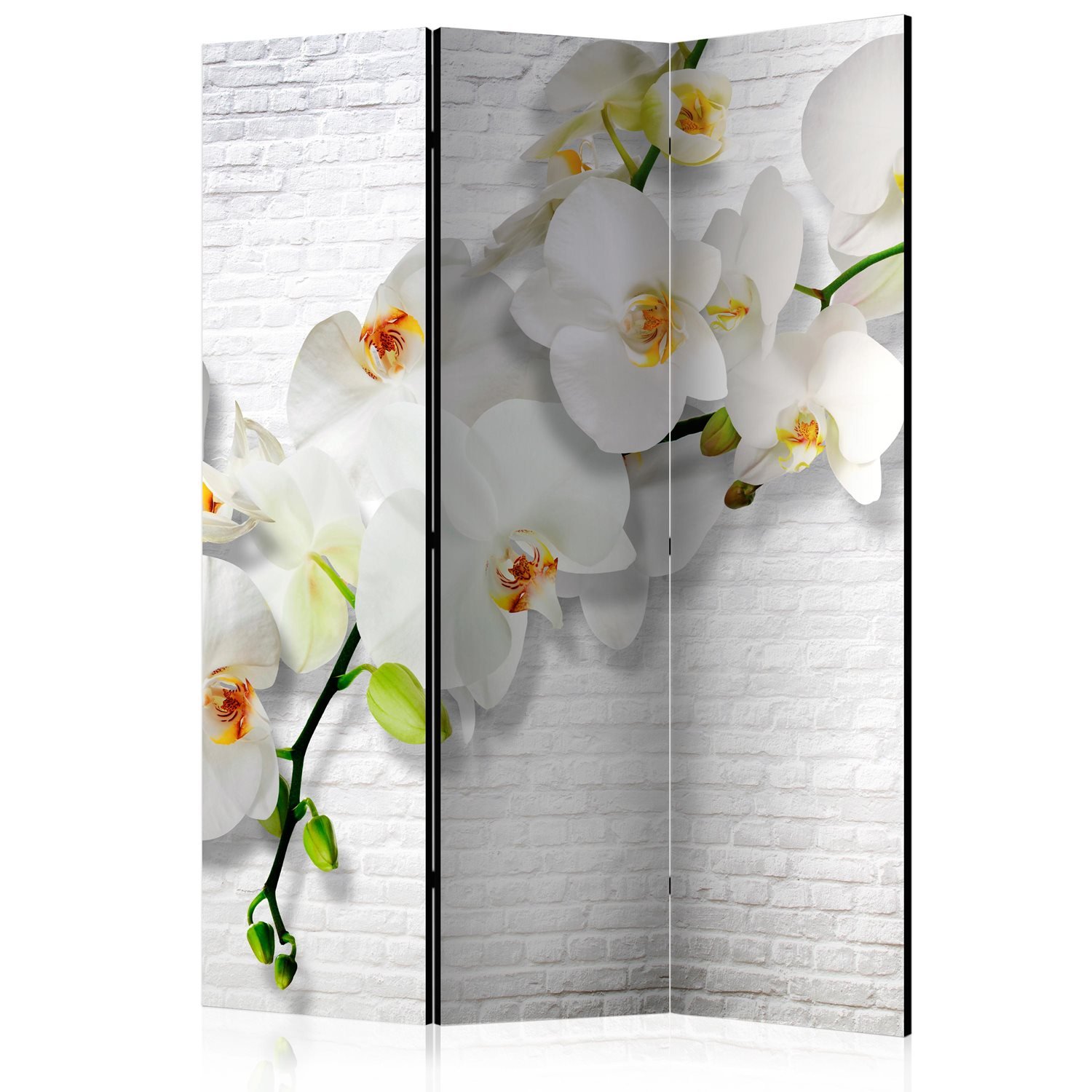 PoliHome Διαχωριστικό με 3 τμήματα - The Urban Orchid [Room Dividers] 135x172