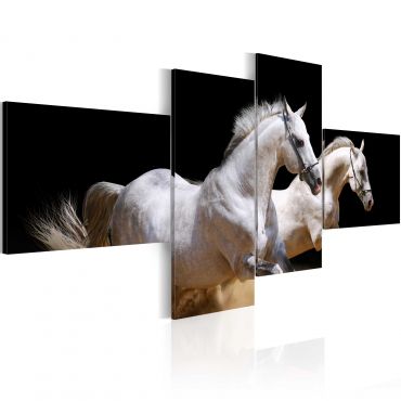 Table - Animal world - white horses galloping