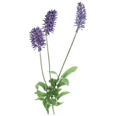 Decorative lavender triple