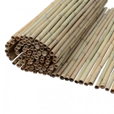 Bamboo cane Ø14-20mm