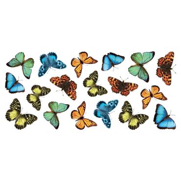 Decorative wall stickers Colourful Butterflies Ango