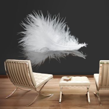 Wallpaper - White feather