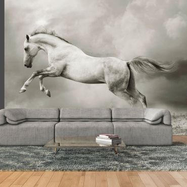 Wallpaper - Wild Stallion