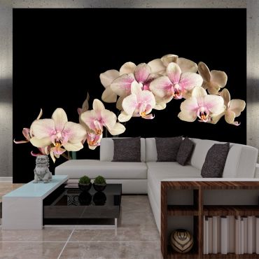 Wallpaper - Blooming orchid