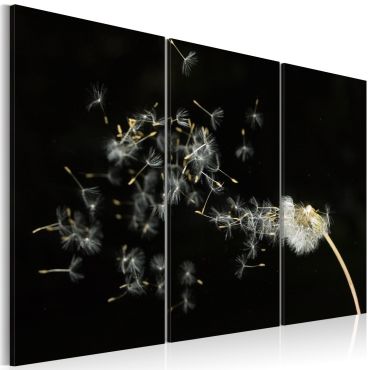 Canvas Print - Dandelions- the transience