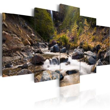 Canvas Print - A waterfall in the middle of wild nature