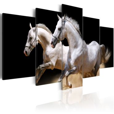 Canvas Print - Gallop- freedom and power