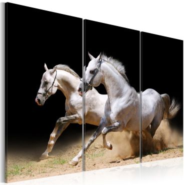 Canvas Print - Horses- power and velocity
