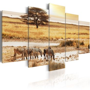 Canvas Print - Zebras on a savannah