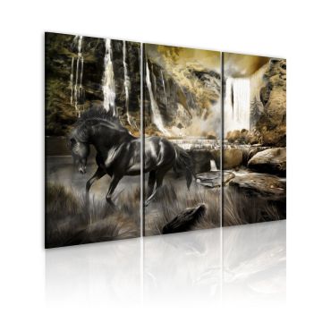 Canvas Print - Black horse and rocky waterfall