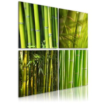 Canvas Print - Bamboos