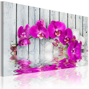Canvas Print - harmony: orchid 60x40