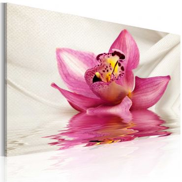 Canvas Print - Unusual orchid 60x40