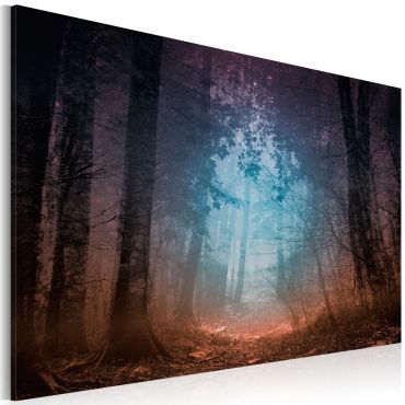 Canvas Print - Edge of the forest