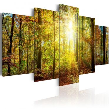 Canvas Print - Mystical Forest 