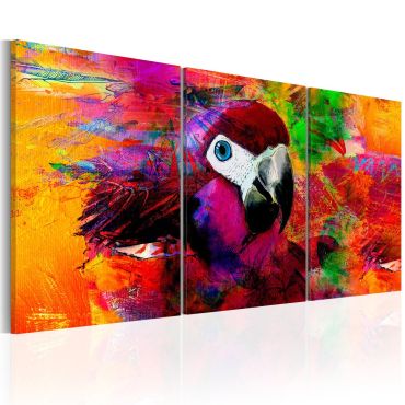 Canvas Print - Jungle of Colours