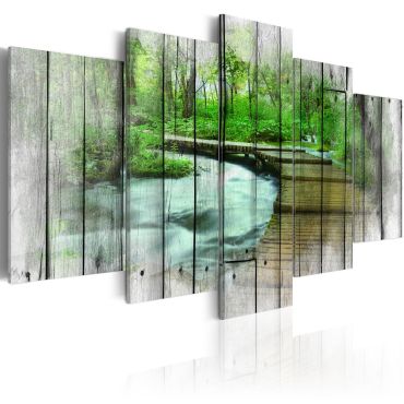 Canvas Print - Forest of Secrets