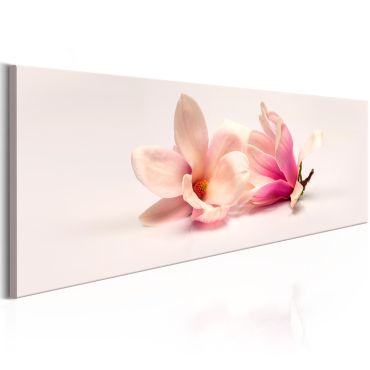 Canvas Print - Beautiful Magnolias