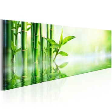 Canvas Print - Green Bamboo