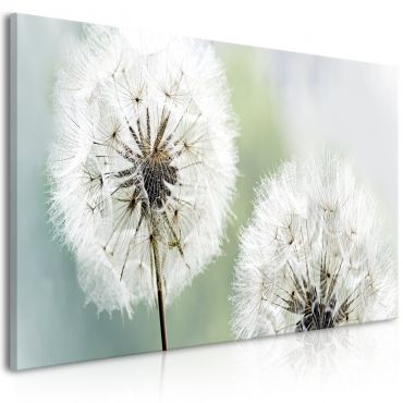 Canvas Print - Fluffy Dandelions (1 Part) Green Wide 100x45