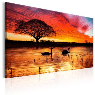 Canvas Print - Swan Lake