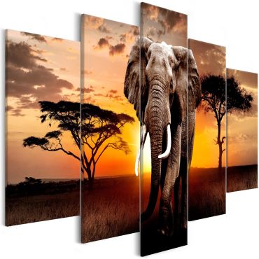 Canvas Print - Wandering Elephant (5 Parts) Wide 225x100