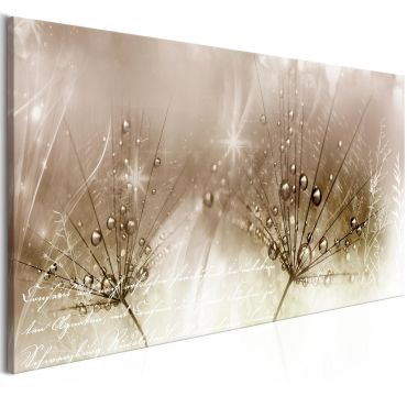 Canvas Print - Drops of Dew (1 Part) Brown Wide