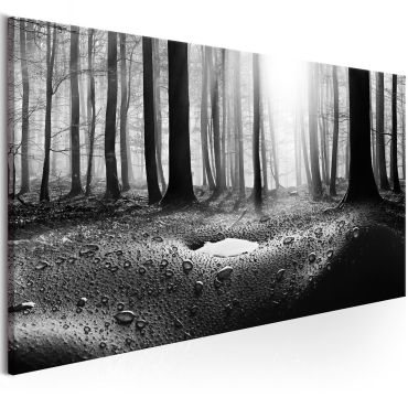 Canvas Print - Forest after Rain (1 Part) Wide