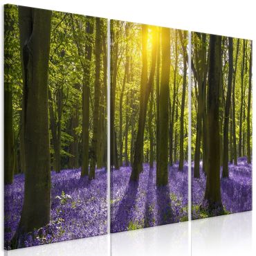 Canvas Print - Hyacinth Field (3 Parts)