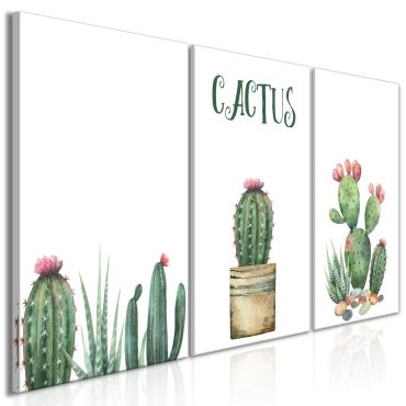Canvas Print - Prickly Flowers (3 Parts) 120x60