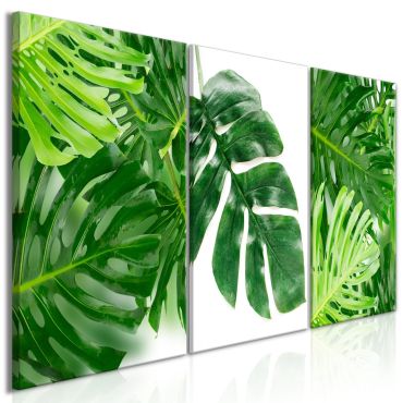 Canvas Print - Palm Leaves (3 Parts) 120x60