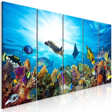 Canvas Print - Coral Reef (5 Parts) Narrow 225x90