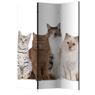 Room Divider - Sweet Cats [Room Dividers] 135x172