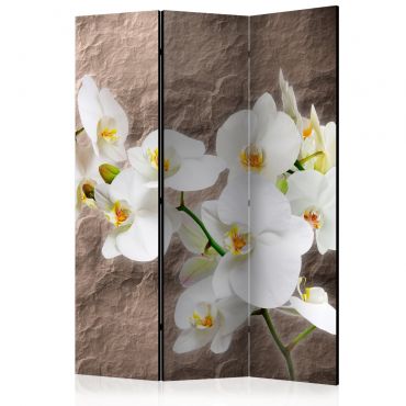 Room Divider - Impeccability of the Orchid [Room Dividers] 135x172