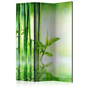 Room Divider - Green Bamboo [Room Dividers] 135x172