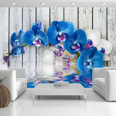 Wallpaper - Cobaltic orchid