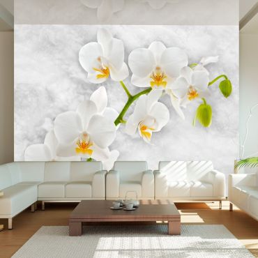 Wallpaper - Lyrical orchid - White