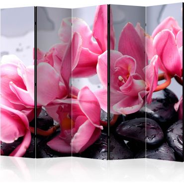 Partition with 5 sections - Orchid flowers with zen stones II [Room Dividers]