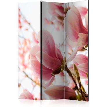 3-part divider - Pink magnolia [Room Dividers]