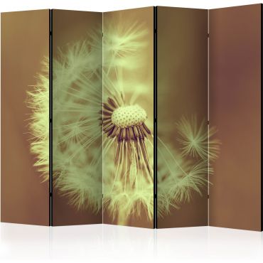 Divider with 5 sections - dandelion (sepia) III [Room Dividers]