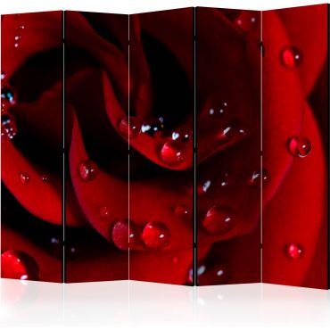 Separator with 5 sections - Red rose with water drops II [Room Dividers]