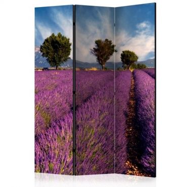 3-section divider - Lavender field in Provence, France [Room Dividers]
