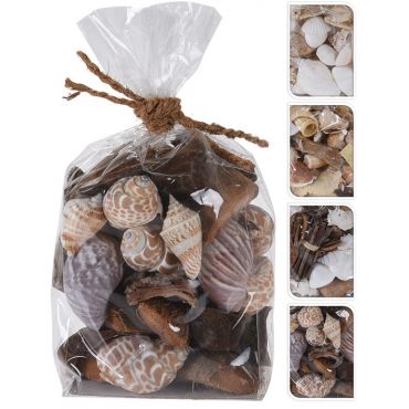 Natural decoration materials with shells Conch