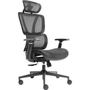 Executive chair Elite