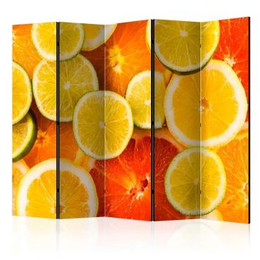 5-section divider - Citrus fruits II [Room Dividers]