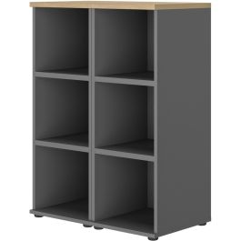 Βιβλιοθήκη Organizer I