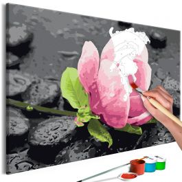 DIY canvas painting - Pink Flower and Stones 60x40