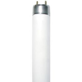 Fluorescent Lamp G13 Fluorescent 58W 4000K T8 Diolamp