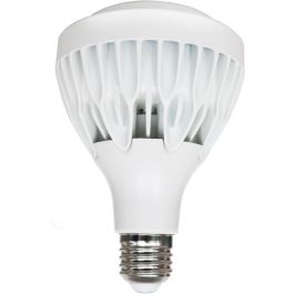 Λαμπτήρας LED E27 PAR30 25W 6000K Zoomable