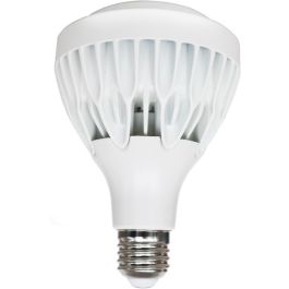 Λαμπτήρας LED E27 PAR30 25W 4000K Zoomable